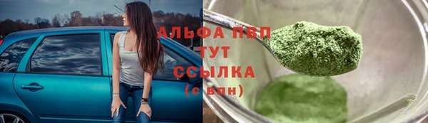 ешки Богданович
