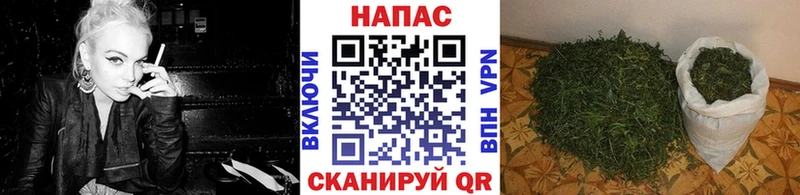 Каннабис конопля  как найти закладки  блэк спрут маркетплейс  Светлый 
